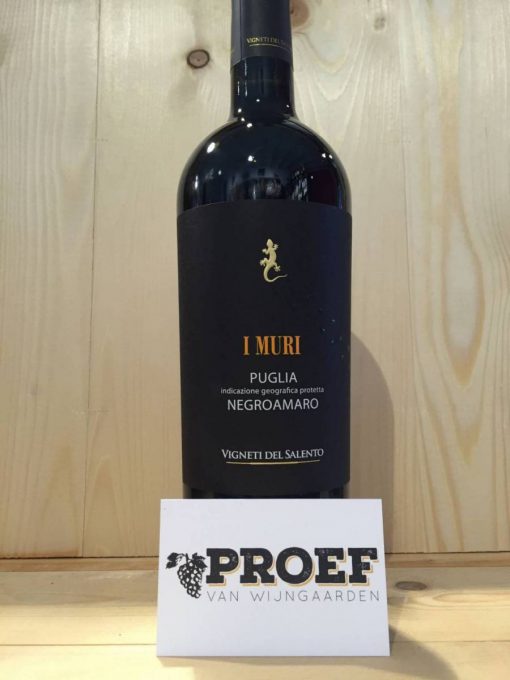 Vigneti del Salento I Muri Negroamaro - Italiaanse rode wijn