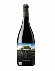 La Garnacha Salvaje del Moncayo | DO Campo de Borja, Spanje
