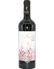 Rio Lindo – Rio Lindo Syrah 2023 | Castilla-La Mancha, Spanje